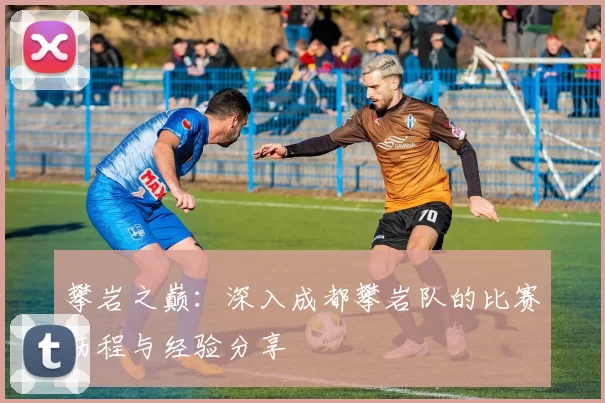 攀岩之巅：深入成都攀岩队的比赛历程与经验分享