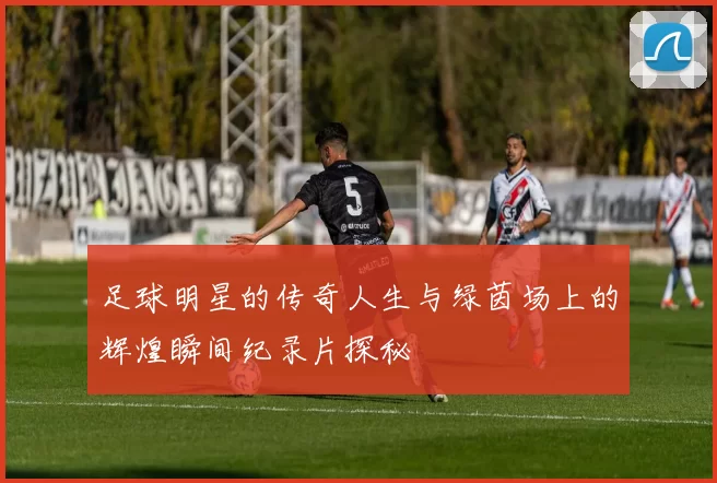 足球明星的传奇人生与绿茵场上的辉煌瞬间纪录片探秘