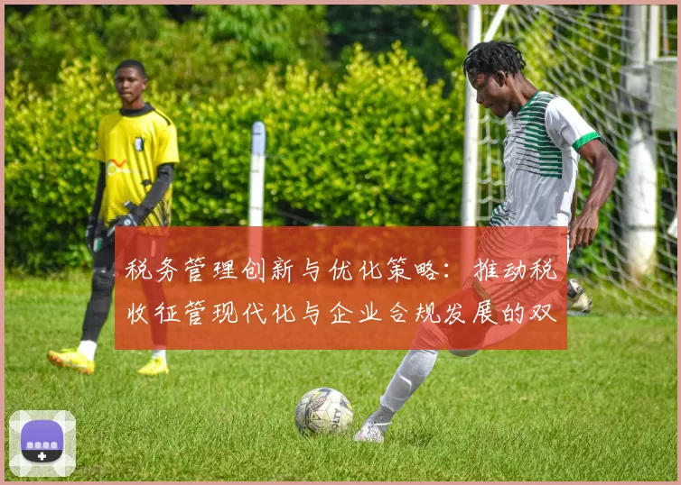 税务管理创新与优化策略：推动税收征管现代化与企业合规发展的双赢路径