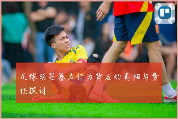 足球明星暴力行为背后的真相与责任探讨