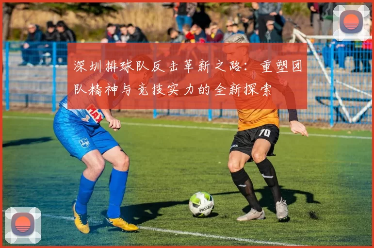 深圳排球队反击革新之路：重塑团队精神与竞技实力的全新探索