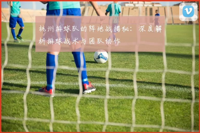 杭州排球队的阵地战揭秘：深度解析排球战术与团队协作