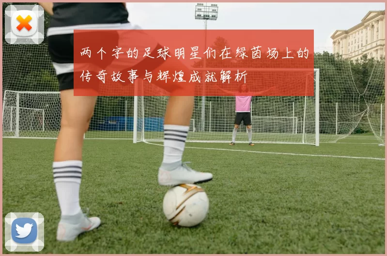 两个字的足球明星们在绿茵场上的传奇故事与辉煌成就解析