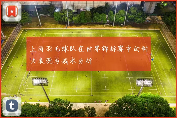 上海羽毛球队在世界锦标赛中的耐力表现与战术分析
