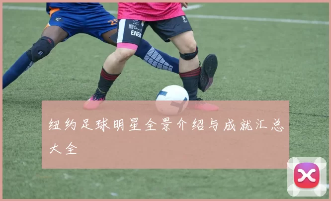 纽约足球明星全景介绍与成就汇总大全