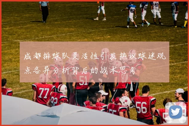 成都排球队灵活性引发热议球迷观点各异分析背后的战术思考