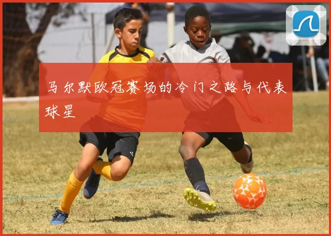 马尔默欧冠赛场的冷门之路与代表球星