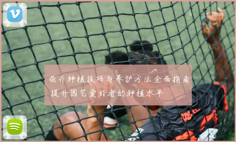 花卉种植技巧与养护方法全面指南 提升园艺爱好者的种植水平