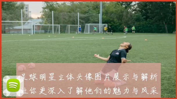 足球明星立体头像图片展示与解析让你更深入了解他们的魅力与风采
