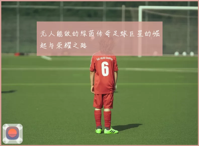 无人能敌的绿茵传奇足球巨星的崛起与荣耀之路