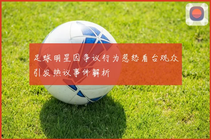 足球明星因争议行为惹怒看台观众引发热议事件解析