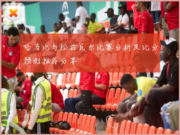 哈马比与松兹瓦尔比赛分析及比分预测推荐分享