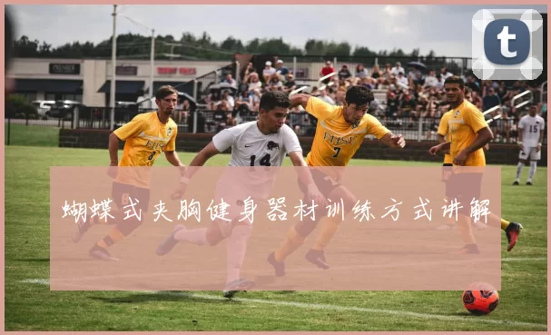 蝴蝶式夹胸健身器材训练方式讲解