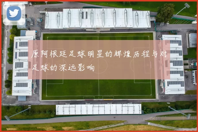 原阿根廷足球明星的辉煌历程与对足球的深远影响