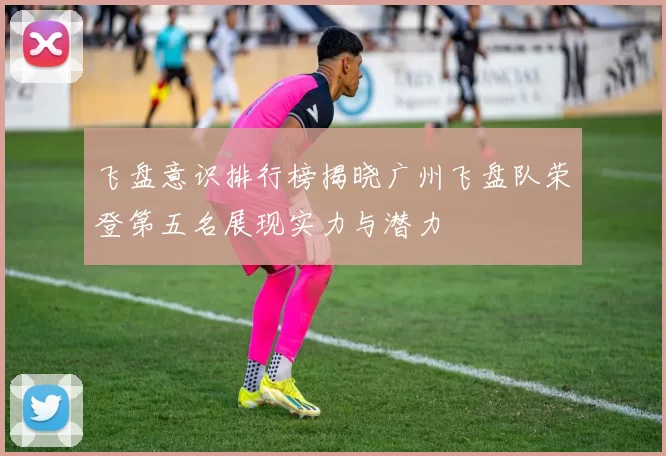 飞盘意识排行榜揭晓广州飞盘队荣登第五名展现实力与潜力