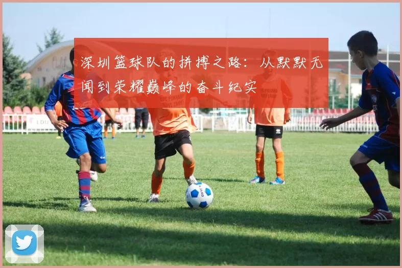 深圳篮球队的拼搏之路：从默默无闻到荣耀巅峰的奋斗纪实