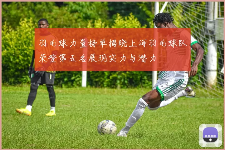 羽毛球力量榜单揭晓上海羽毛球队荣登第五名展现实力与潜力