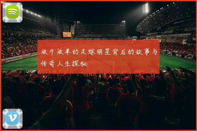 放牛放羊的足球明星背后的故事与传奇人生探秘